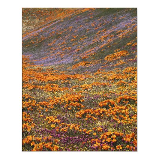 VS, Californië, Tehachapi Mountains, 2 Foto Afdruk (Voorkant)