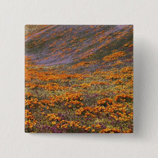 VS, Californië, Tehachapi Mountains, 2 Vierkante Button 5,1 Cm (Voorkant)