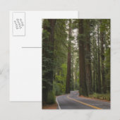 VS, Californië, weg door het bos 2 van sequoia Briefkaart (Voorkant / Achterkant)