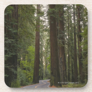 VS, Californië, weg door het bos 2 van sequoia Drankjes Onderzetter