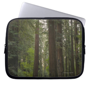 VS, Californië, weg door het bos 2 van sequoia Laptop Sleeve