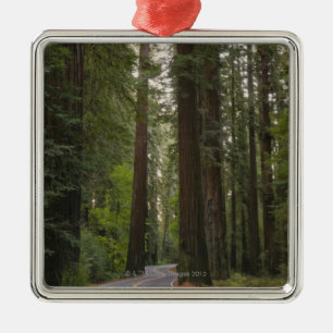 VS, Californië, weg door het bos 2 van sequoia Metalen Ornament