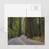 VS, Californië, weg door het bos van sequoia Briefkaart (Voorkant / Achterkant)