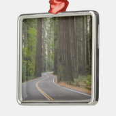 VS, Californië, weg door het bos van sequoia Metalen Ornament (Links)