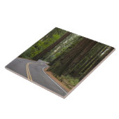 VS, Californië, weg door het bos van sequoia Tegeltje (Zijkant)