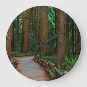 VS, Californië. Weg tussen kustmammoetbomen in Mu Grote Klok