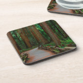 VS, Californië. Weg tussen kustmammoetbomen in Mui Bier Onderzetter (Linkerzijde)