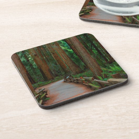 VS, Californië. Weg tussen kustmammoetbomen in Mui Bier Onderzetter (Linkerzijde)