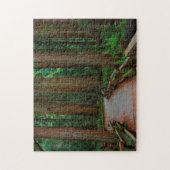 VS, Californië. Weg tussen kustmammoetbomen in Mui Legpuzzel (Verticaal)