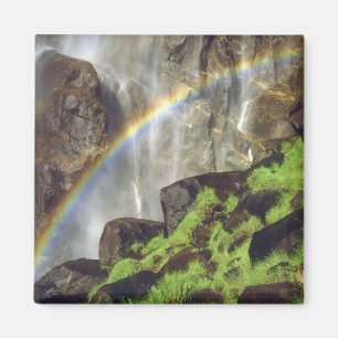 VS, Californië, Yosemite National Park. A Magneet