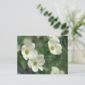 VS, Californië, Yosemite NP, langs Merced Briefkaart (Staand voorkant)