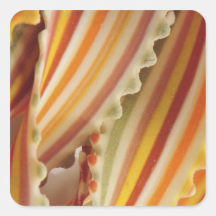 VS. Close-up van gedroogde regenboog pastasnoepjes Vierkante Sticker