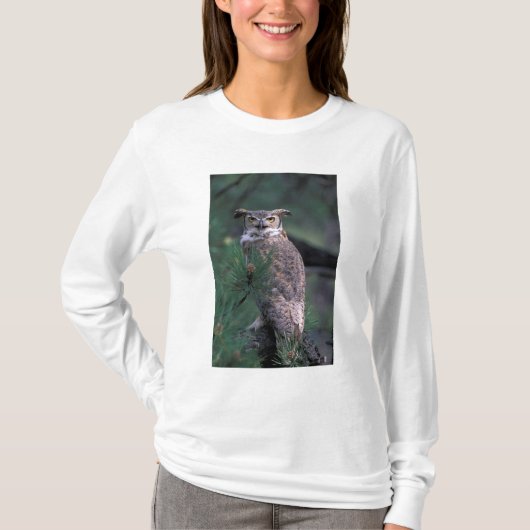 VS, CO, Colorado Springs. Oehoe T-shirt (Voorkant)