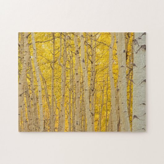 VS, Colorado. Aspens in Gunnison National Legpuzzel (Horizontaal)