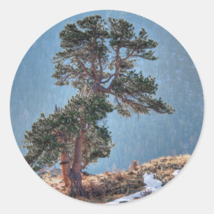 VS, Colorado, Boom in Estes Park Ronde Sticker