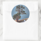 VS, Colorado, Boom in Estes Park Ronde Sticker (Tas)
