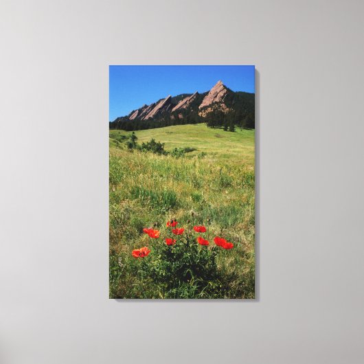 VS, Colorado, Boulder. Flatirons en klaprozen Canvas Afdruk (Voorkant)