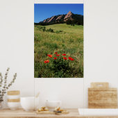 VS, Colorado, Boulder. Flatirons en klaprozen Poster (Keuken)