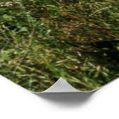 VS, Colorado, Boulder. Flatirons en papaver Poster (Hoek)