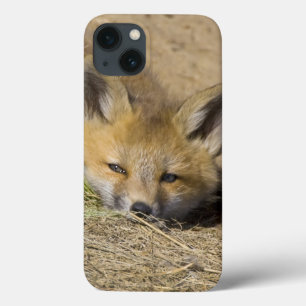 VS, Colorado, Breckenridge. Alert rode vos iPhone 13 Hoesje