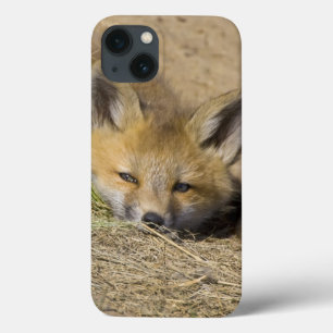 VS, Colorado, Breckenridge. Alert rode vos iPhone 13 Hoesje