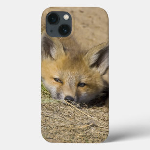 VS, Colorado, Breckenridge. Alert rode vos iPhone 13 Hoesje