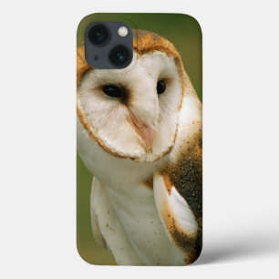 VS, Colorado, Broomfield. Barn owl iPhone 13 Hoesje