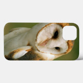 VS, Colorado, Broomfield. Barn owl Case-Mate iPhone Case (Achterkant (horizontaal))