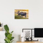 VS, Colorado, Cameron Pass. Eland Poster (Thuiskantoor)