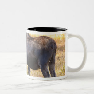 VS, Colorado, Cameron Pass. Eland Tweekleurige Koffiemok