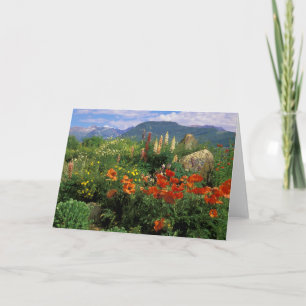 VS, Colorado, Crested Butte. Klaprozen en lupine Kaart