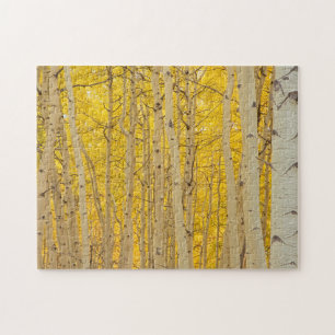 VS, Colorado. Espen in Gunnison National Legpuzzel