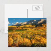 VS, Colorado, Gunnison National Forest Briefkaart (Voorkant / Achterkant)