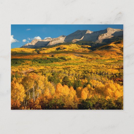VS, Colorado, Gunnison National Forest Briefkaart (Voorkant)