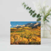 VS, Colorado, Gunnison National Forest Briefkaart (Staand voorkant)
