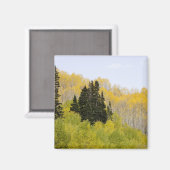 VS, Colorado, Gunnison National Forest, langs 2 Magneet (Voorkant / Achterkant)