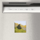 VS, Colorado, Gunnison National Forest, langs 2 Magneet (Insitu (Vaatwasser))