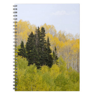 VS, Colorado, Gunnison National Forest, langs 2 Notitieboek