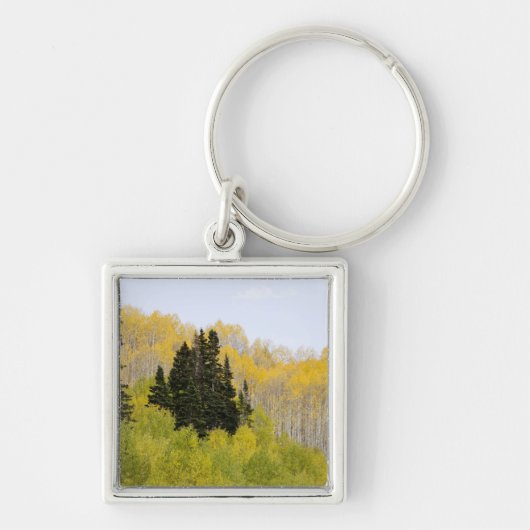 VS, Colorado, Gunnison National Forest, langs 2 Sleutelhanger (Voorkant)