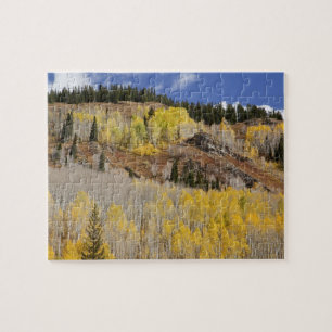 VS, Colorado, Gunnison National Forest, langs Legpuzzel