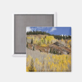 VS, Colorado, Gunnison National Forest, langs Magneet (Voorkant / Achterkant)