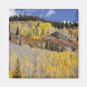 VS, Colorado, Gunnison National Forest, langs Magneet