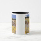 VS, Colorado, Gunnison National Forest, langs Mok (Midden)