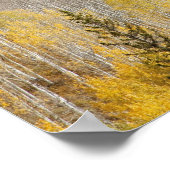 VS, Colorado, Gunnison National Forest, langs Poster (Hoek)