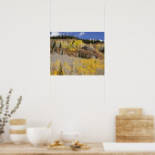 VS, Colorado, Gunnison National Forest, langs Poster (Keuken)
