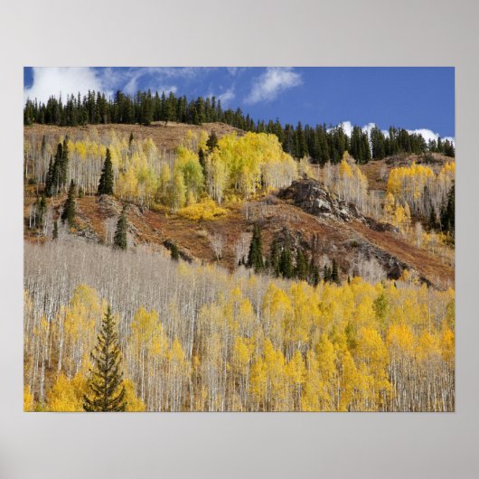 VS, Colorado, Gunnison National Forest, langs Poster (Voorkant)