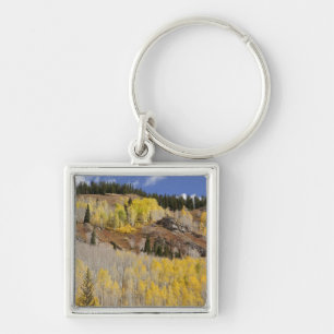 VS, Colorado, Gunnison National Forest, langs Sleutelhanger