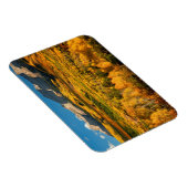 VS, Colorado, Gunnison National Forest Magneet (Rechterzijde)