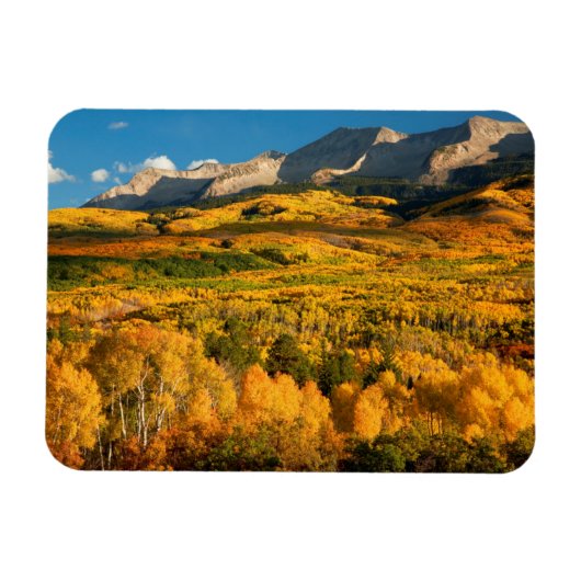 VS, Colorado, Gunnison National Forest Magneet (Horizontaal)