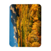 VS, Colorado, Gunnison National Forest Magneet (Verticaal)
